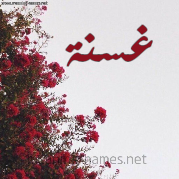شكل 18 صوره الورد الأحمر للإسم بخط رقعة صورة اسم غسنة Ghsnh