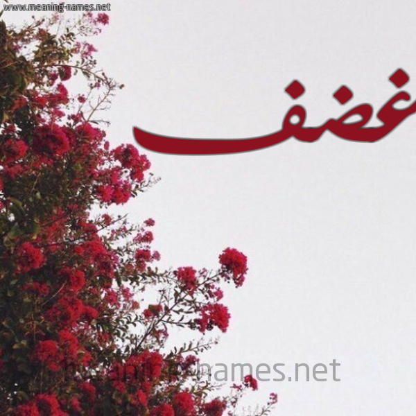 شكل 18 صوره الورد الأحمر للإسم بخط رقعة صورة اسم غضف Ghdf