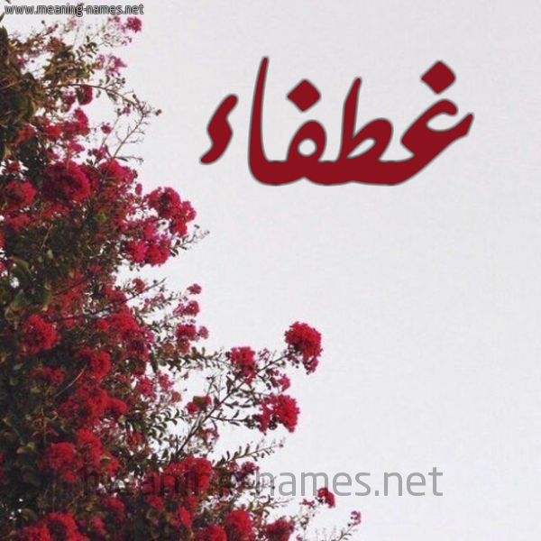 شكل 18 صوره الورد الأحمر للإسم بخط رقعة صورة اسم غطفاء Ghtfa'a