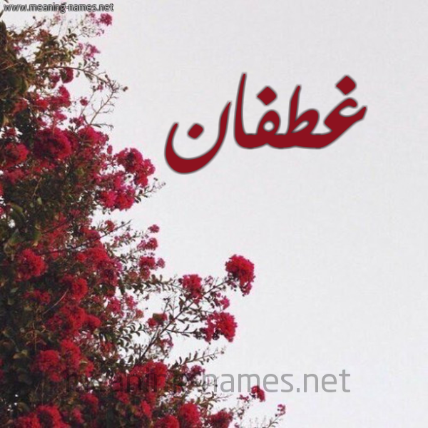 شكل 18 صوره الورد الأحمر للإسم بخط رقعة صورة اسم غطفان Ghtfan