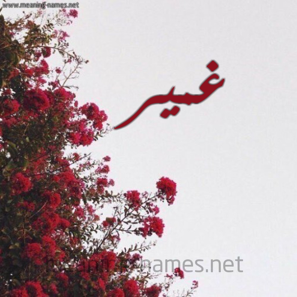 شكل 18 صوره الورد الأحمر للإسم بخط رقعة صورة اسم غمير Ghmyr