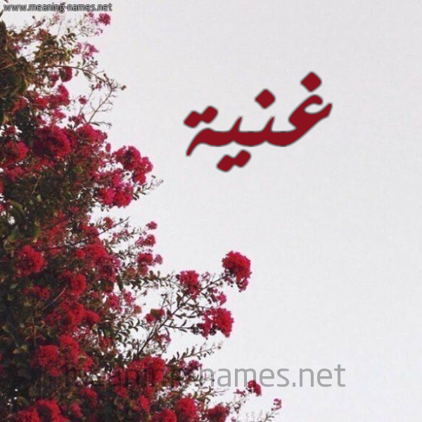 شكل 18 صوره الورد الأحمر للإسم بخط رقعة صورة اسم غنية Ghnyh