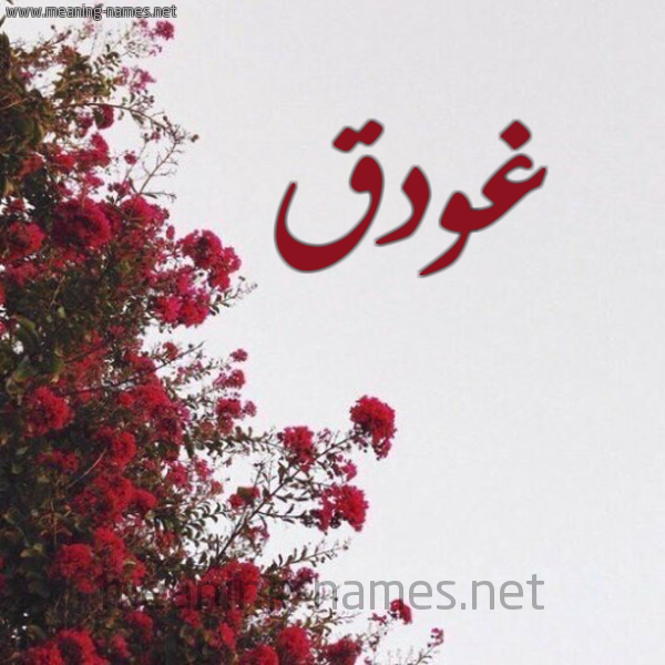 شكل 18 صوره الورد الأحمر للإسم بخط رقعة صورة اسم غودق Ghadq