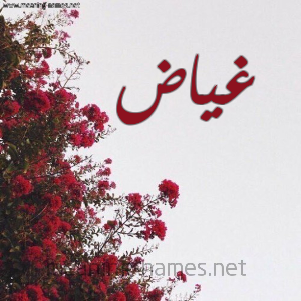 شكل 18 صوره الورد الأحمر للإسم بخط رقعة صورة اسم غياض GHIAD