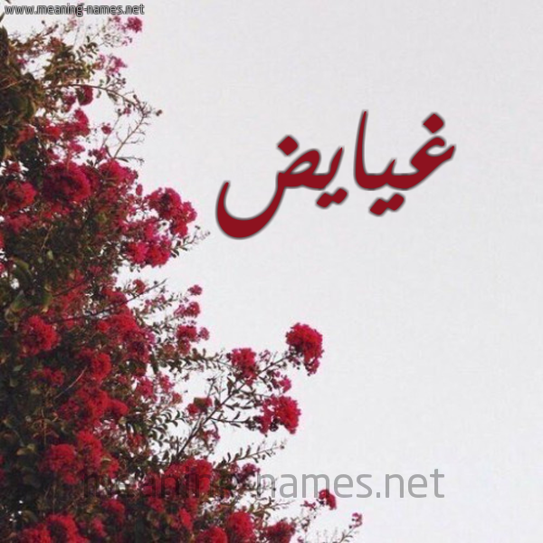 شكل 18 صوره الورد الأحمر للإسم بخط رقعة صورة اسم غيايض Ghayyad
