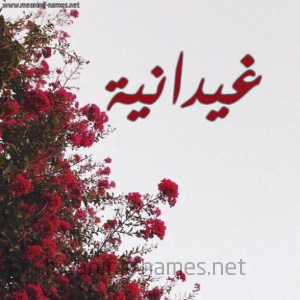 شكل 18 صوره الورد الأحمر للإسم بخط رقعة صورة اسم غيدانية Ghidanah