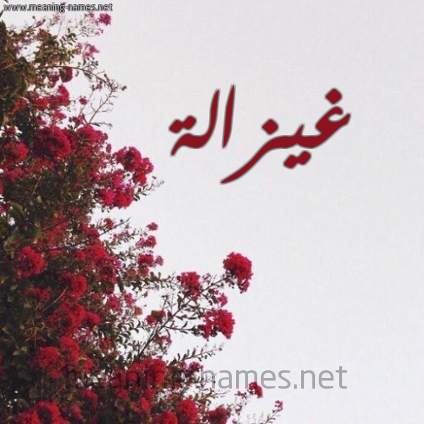 شكل 18 صوره الورد الأحمر للإسم بخط رقعة صورة اسم غيزالة Ghazalla
