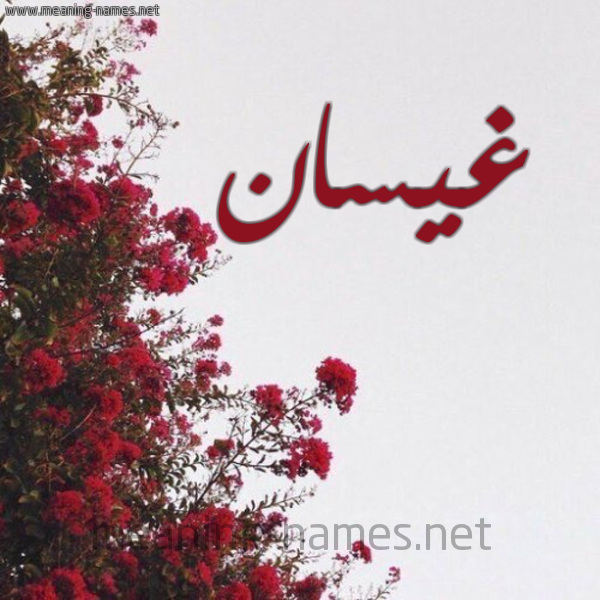شكل 18 صوره الورد الأحمر للإسم بخط رقعة صورة اسم غيسان Ghysan