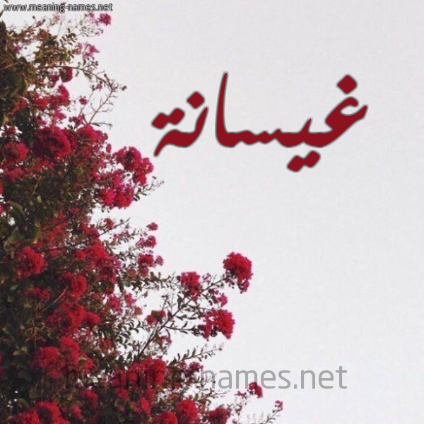 شكل 18 صوره الورد الأحمر للإسم بخط رقعة صورة اسم غيسانة Ghysanh