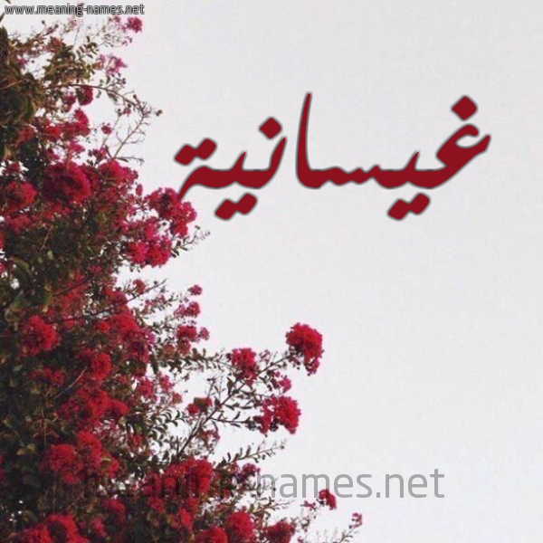 شكل 18 صوره الورد الأحمر للإسم بخط رقعة صورة اسم غيسانية Ghaisaanah