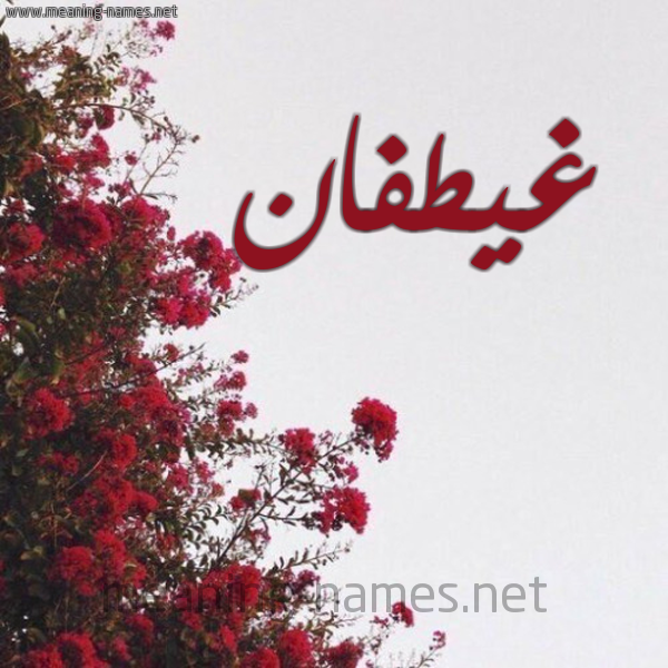 شكل 18 صوره الورد الأحمر للإسم بخط رقعة صورة اسم غيطفان Ghatfan