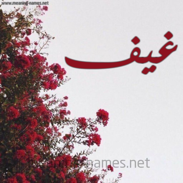 شكل 18 صوره الورد الأحمر للإسم بخط رقعة صورة اسم غيف GHIF