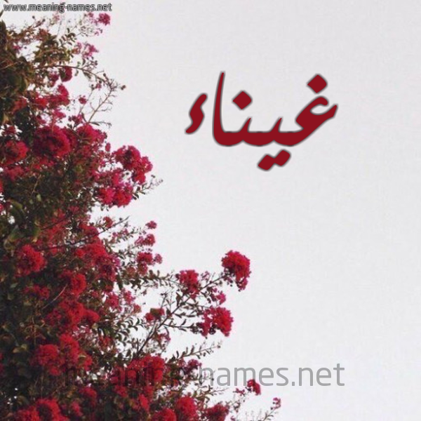 شكل 18 صوره الورد الأحمر للإسم بخط رقعة صورة اسم غيناء Ghyna"a