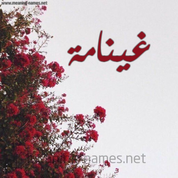 شكل 18 صوره الورد الأحمر للإسم بخط رقعة صورة اسم غينامة Ghannamah