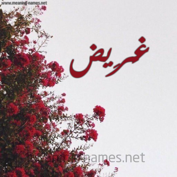 شكل 18 صوره الورد الأحمر للإسم بخط رقعة صورة اسم غَرِيض GHAREID