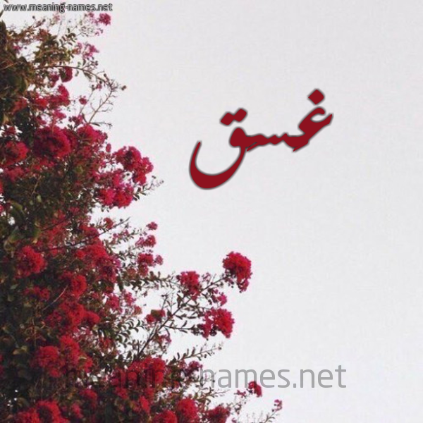 شكل 18 صوره الورد الأحمر للإسم بخط رقعة صورة اسم غَسَق Ghasaq