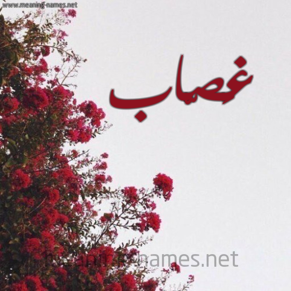 شكل 18 صوره الورد الأحمر للإسم بخط رقعة صورة اسم غَصّاب GHASAB