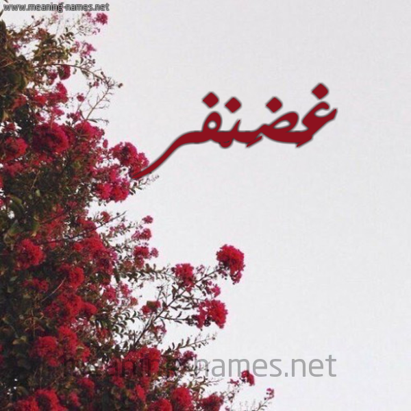 شكل 18 صوره الورد الأحمر للإسم بخط رقعة صورة اسم غَضَنْفر GHADANFR