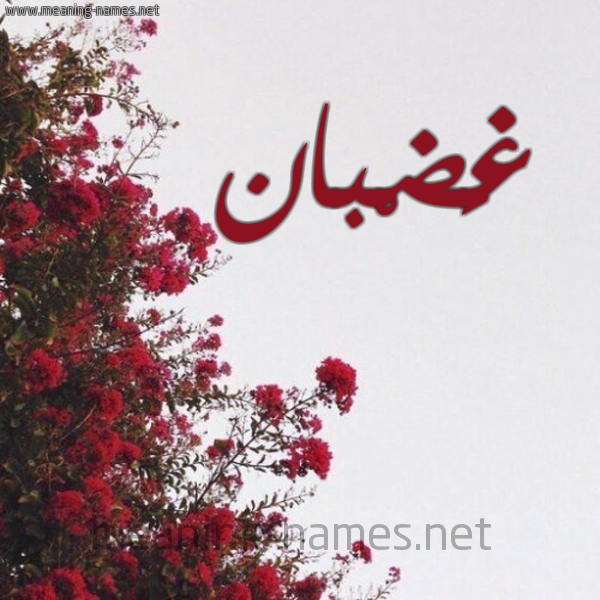 شكل 18 صوره الورد الأحمر للإسم بخط رقعة صورة اسم غَضْبان GHADBAN