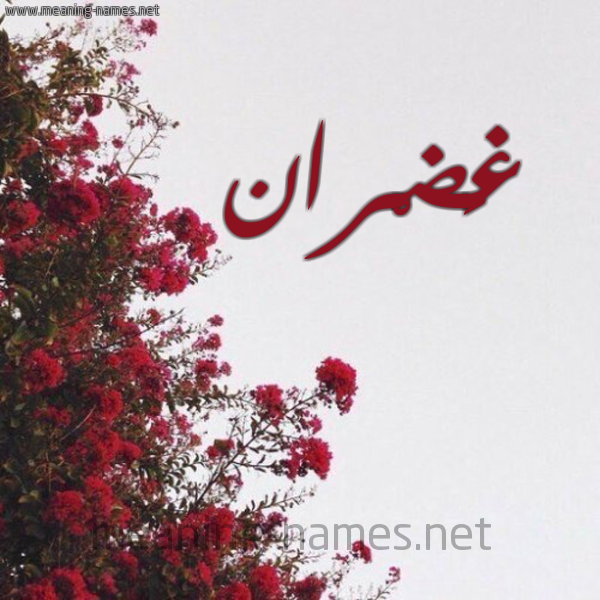 شكل 18 صوره الورد الأحمر للإسم بخط رقعة صورة اسم غَضْران GHADRAN