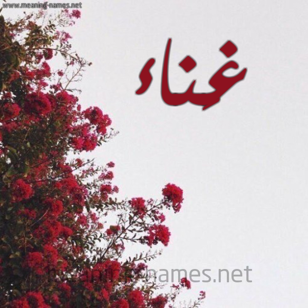 شكل 18 صوره الورد الأحمر للإسم بخط رقعة صورة اسم غَناء GHANAA