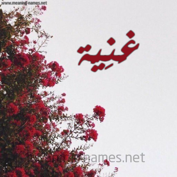 شكل 18 صوره الورد الأحمر للإسم بخط رقعة صورة اسم غَنِيَّة GHANEIAH