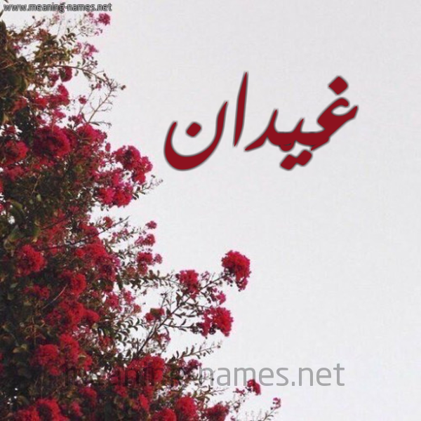 شكل 18 صوره الورد الأحمر للإسم بخط رقعة صورة اسم غَيْدان GHAIDAN