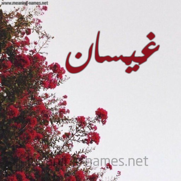 شكل 18 صوره الورد الأحمر للإسم بخط رقعة صورة اسم غَيْسان GHAISAN