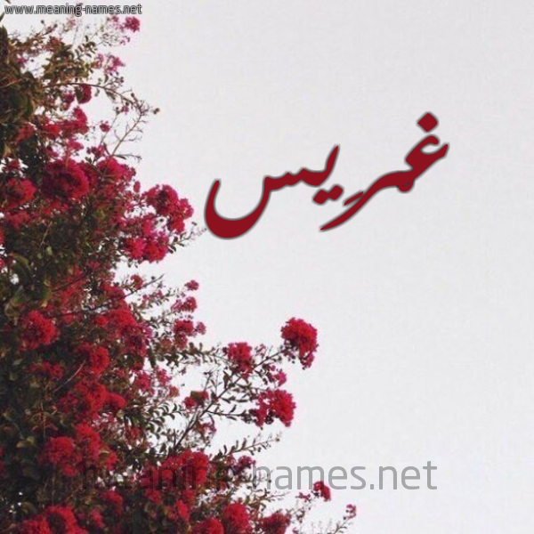 شكل 18 صوره الورد الأحمر للإسم بخط رقعة صورة اسم غْرِيس GHREIS