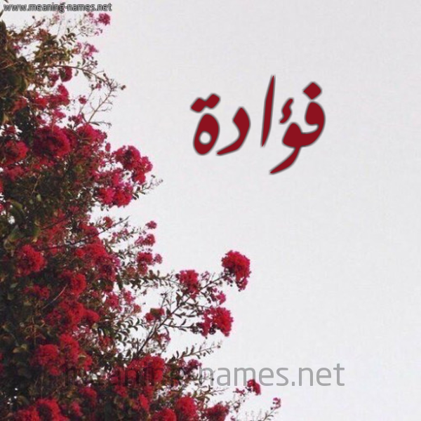 شكل 18 صوره الورد الأحمر للإسم بخط رقعة صورة اسم فؤادة FOADH