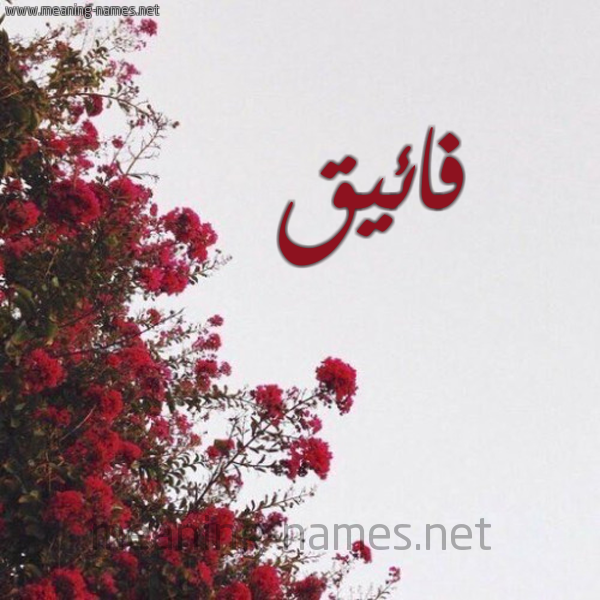 شكل 18 صوره الورد الأحمر للإسم بخط رقعة صورة اسم فائيق Faiq
