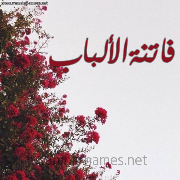 شكل 18 صوره الورد الأحمر للإسم بخط رقعة صورة اسم فاتنةالألباب Fatnhal'albab