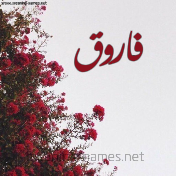شكل 18 صوره الورد الأحمر للإسم بخط رقعة صورة اسم فاروق Farok