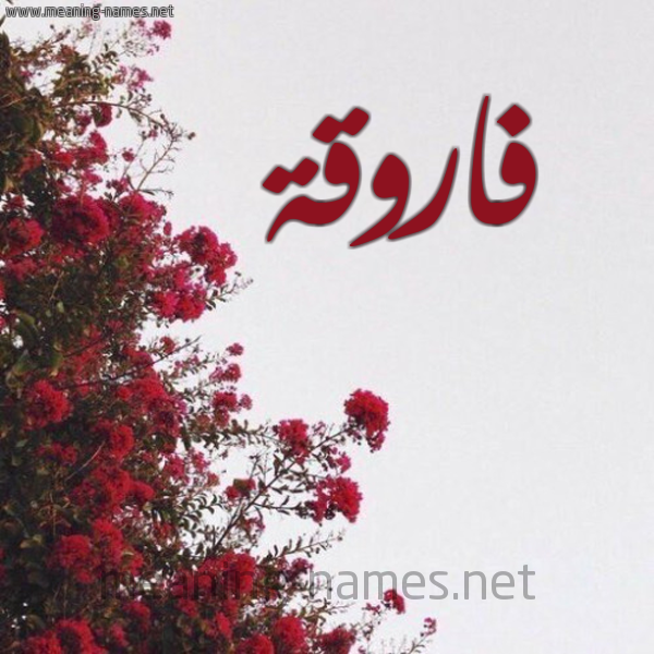 شكل 18 صوره الورد الأحمر للإسم بخط رقعة صورة اسم فاروقة FAROQH