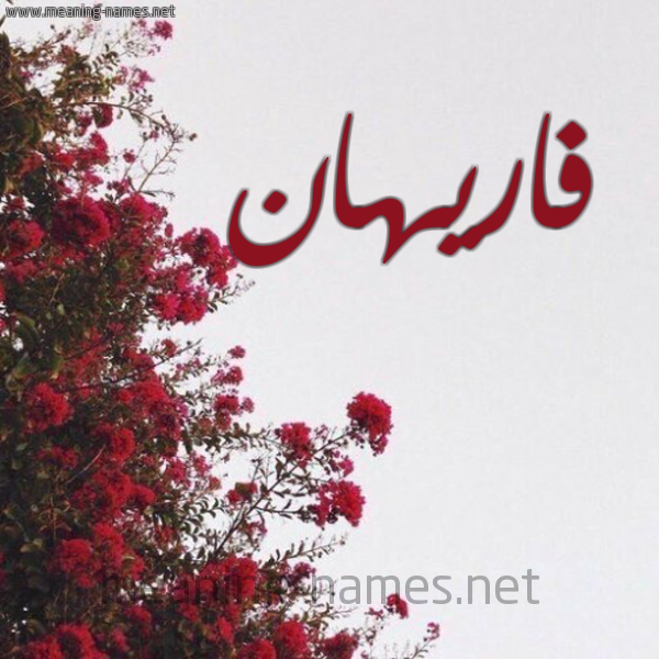 شكل 18 صوره الورد الأحمر للإسم بخط رقعة صورة اسم فاريهان Farihan