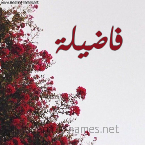 شكل 18 صوره الورد الأحمر للإسم بخط رقعة صورة اسم فاضيلة Fadelah