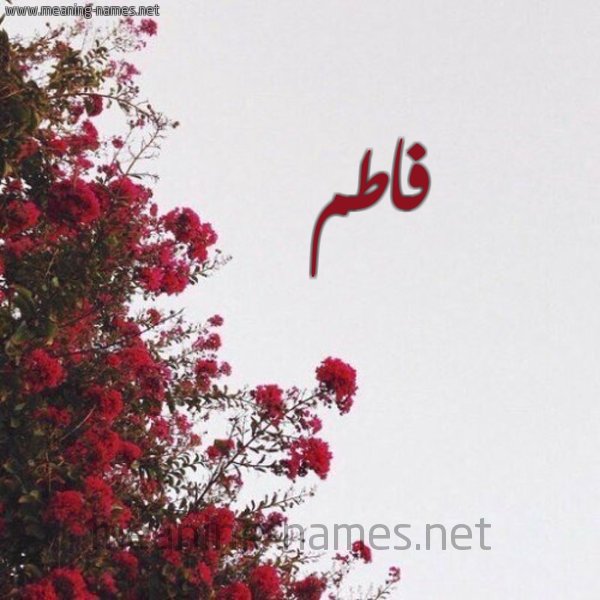 شكل 18 صوره الورد الأحمر للإسم بخط رقعة صورة اسم فاطم FATM