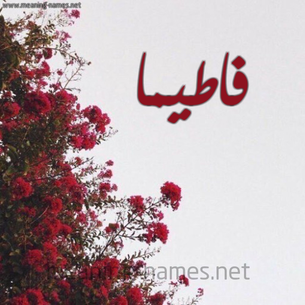 شكل 18 صوره الورد الأحمر للإسم بخط رقعة صورة اسم فاطيما Fatima