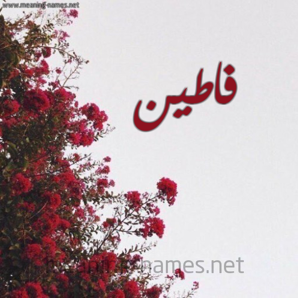 شكل 18 صوره الورد الأحمر للإسم بخط رقعة صورة اسم فاطين FATIN