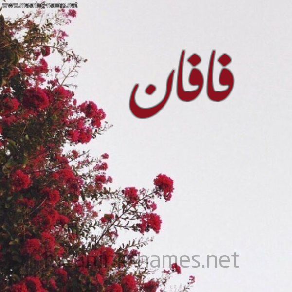 شكل 18 صوره الورد الأحمر للإسم بخط رقعة صورة اسم فافان Fafan