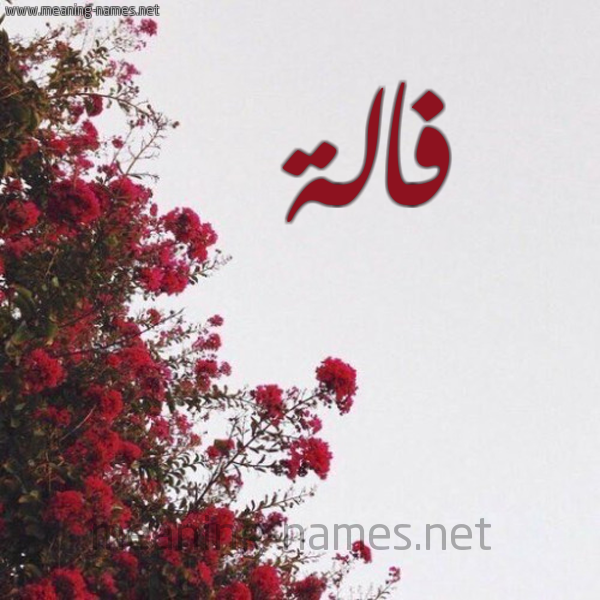 شكل 18 صوره الورد الأحمر للإسم بخط رقعة صورة اسم فالة Falh