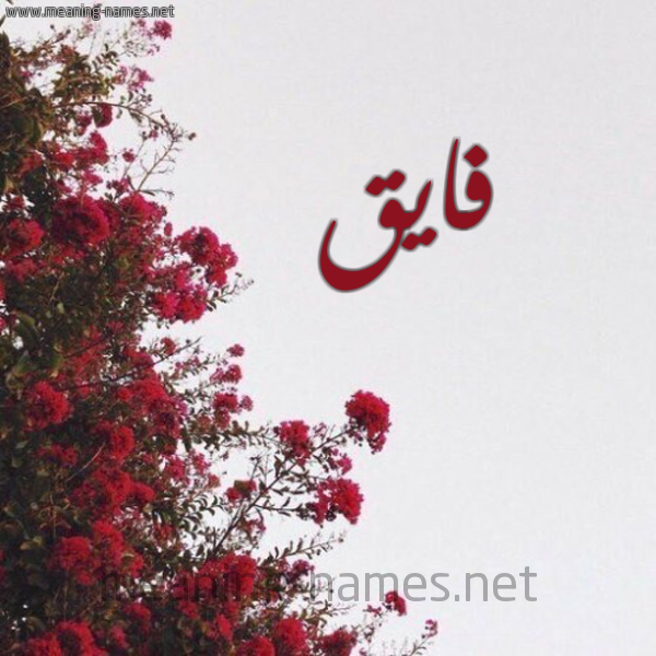 شكل 18 صوره الورد الأحمر للإسم بخط رقعة صورة اسم فايق FAIQ