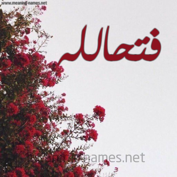 شكل 18 صوره الورد الأحمر للإسم بخط رقعة صورة اسم فتحالله Fthallh