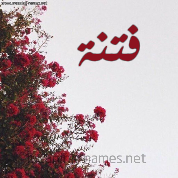 شكل 18 صوره الورد الأحمر للإسم بخط رقعة صورة اسم فتنة Ftnh