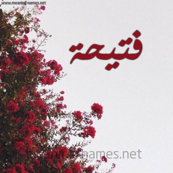 شكل 18 صوره الورد الأحمر للإسم بخط رقعة صورة اسم فتيحة Fathia