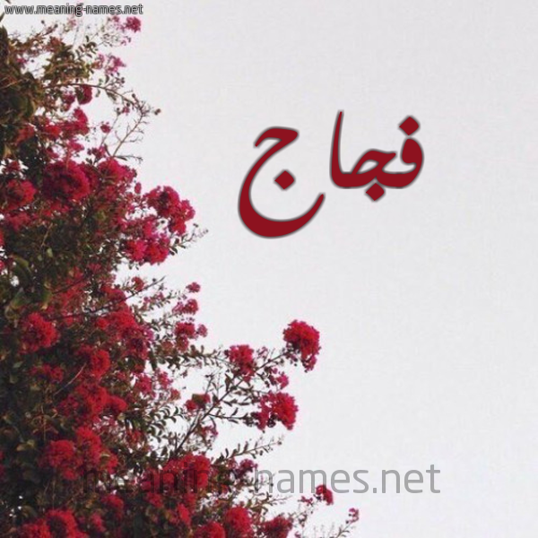 شكل 18 صوره الورد الأحمر للإسم بخط رقعة صورة اسم فجاج Fjaj