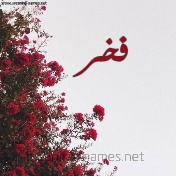 شكل 18 صوره الورد الأحمر للإسم بخط رقعة صورة اسم فخر Fkhr