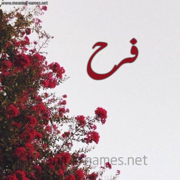 شكل 18 صوره الورد الأحمر للإسم بخط رقعة صورة اسم فرح Farah