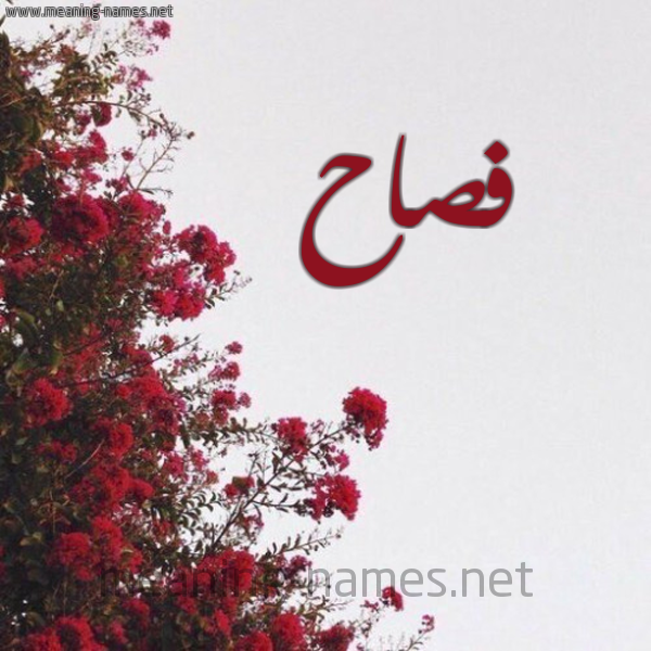 شكل 18 صوره الورد الأحمر للإسم بخط رقعة صورة اسم فصاح Fsah