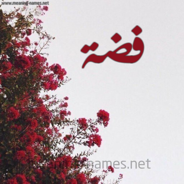 شكل 18 صوره الورد الأحمر للإسم بخط رقعة صورة اسم فضة Fda